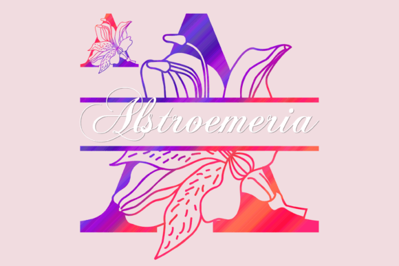 Alstroemeria Split: The Decorative Typeface for Campaign Clarity