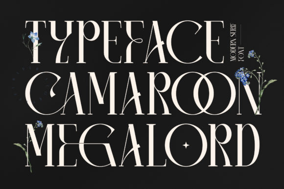 Camaroon Megalord: A Premium Serif Font for High-Impact Campaign Design
