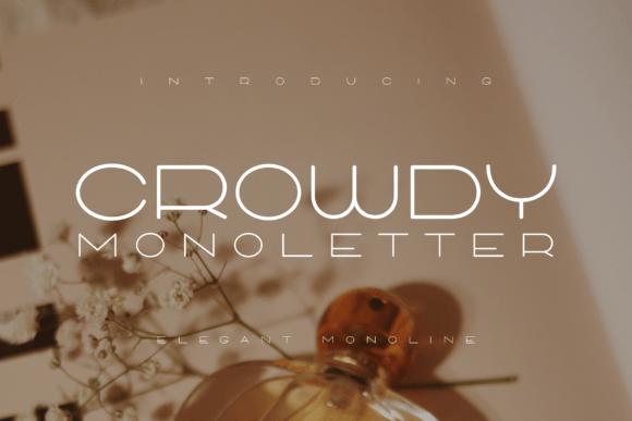 Crowdy Monoletter: A Fresh Sans Serif for Modern Editorial Design