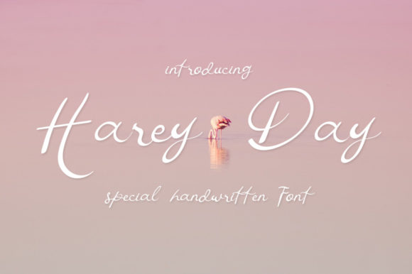 Harey Day: The Script Font That Elevates Editorial Design