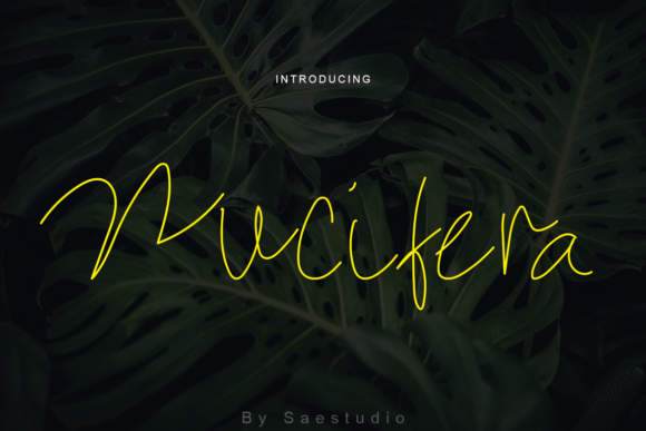 Nucifera: The Handwritten Typeface That Elevates Editorial Design