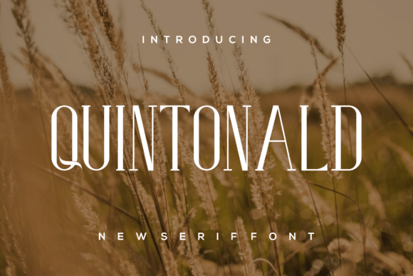 Quintonald: The Elegant Serif Font for Campaign Headlines