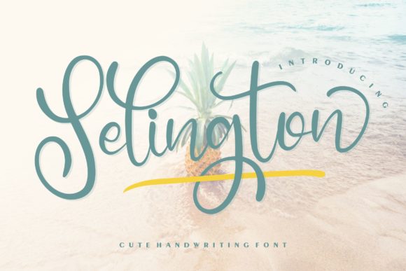 Selington: The Handwritten Typeface That Transforms Campaign Visuals