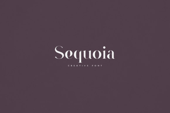 Sequoia: The Elegant Serif Typeface for Scroll-Stopping Campaigns